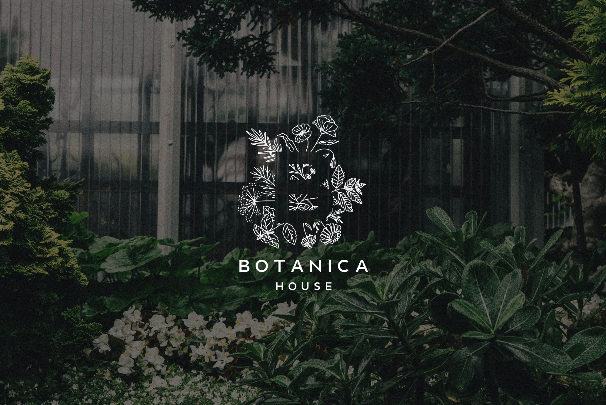 Botanica house project showcase